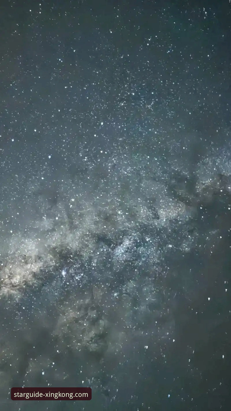 星空直播电脑客户端手机版深度评测：多端体验背后的技术真相